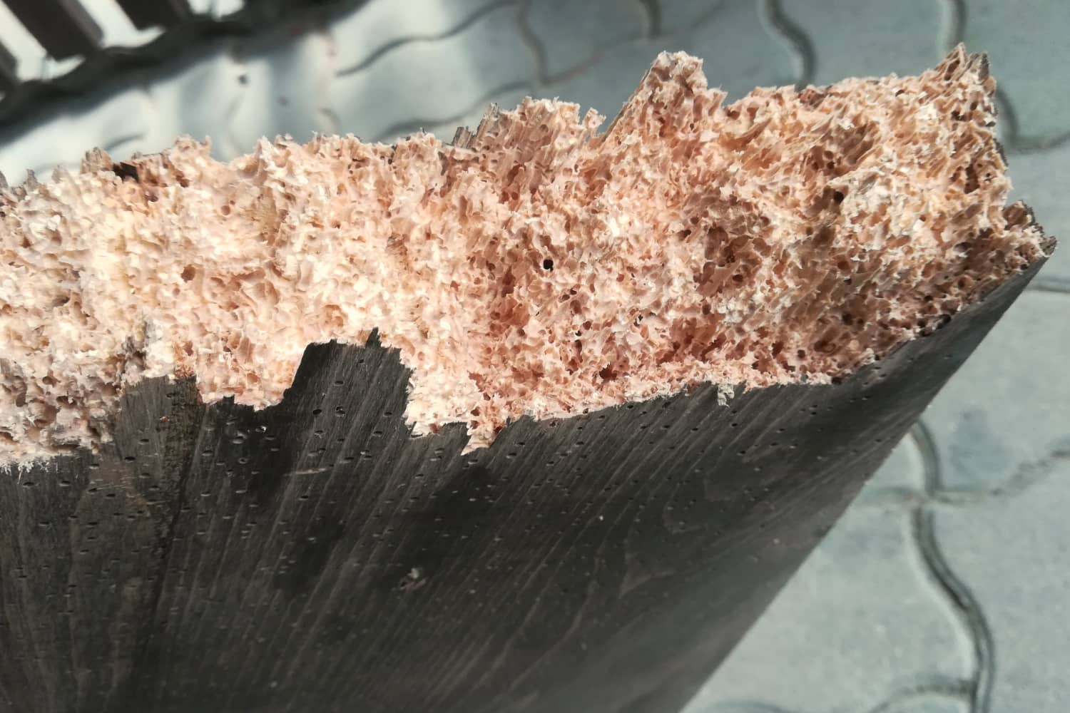 Zerbrochenes Trittbrett